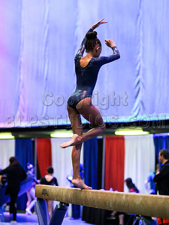 HSM_2647