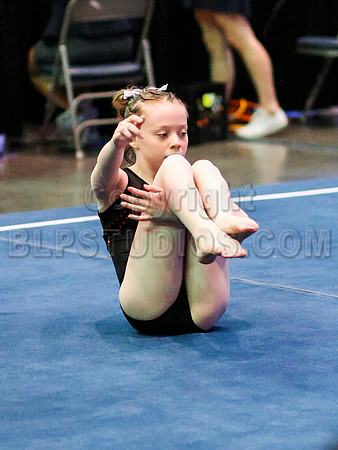 HSM_0611