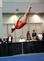 HSM_2197