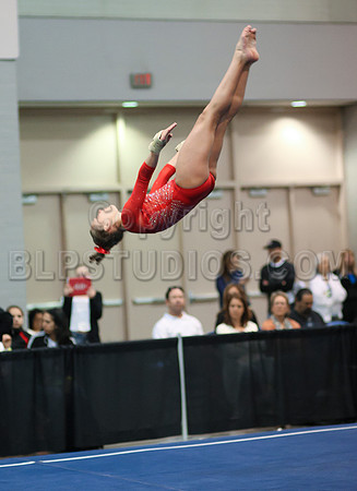 HSM_2197