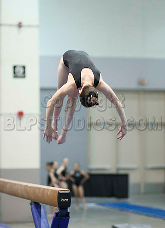 HSM_6499