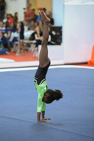 _RFJ8051