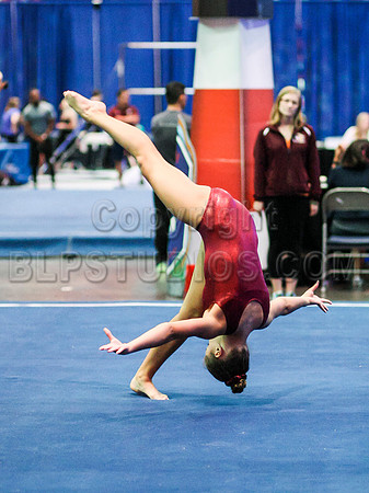 HSM_0961