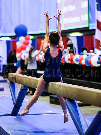 HSM_4703