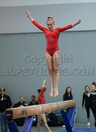 HSM_4373