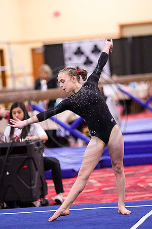 TAZ20115