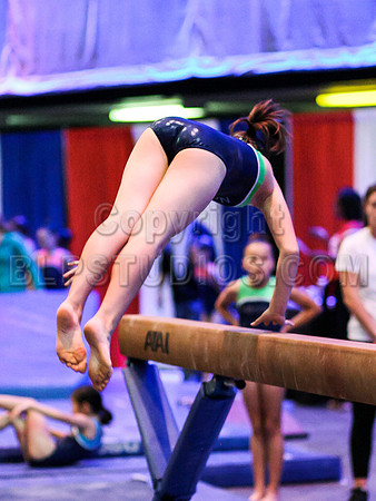 HSM_1711