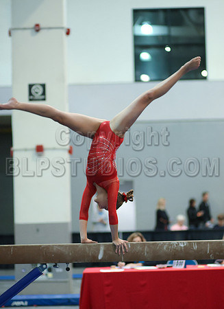 HSM_4614