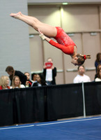 HSM_2199