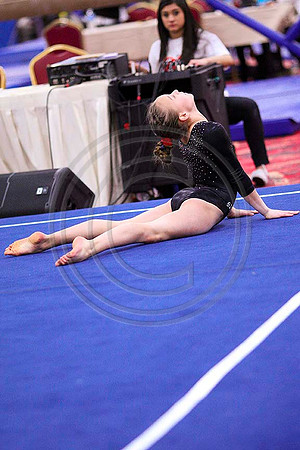TAZ20138