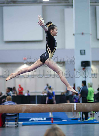 HSM_3642