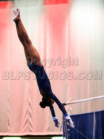 HSM_2197