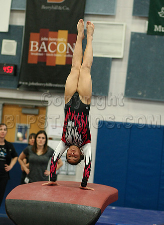 HSM_4658