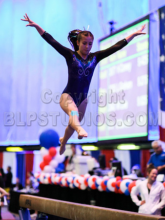HSM_0237