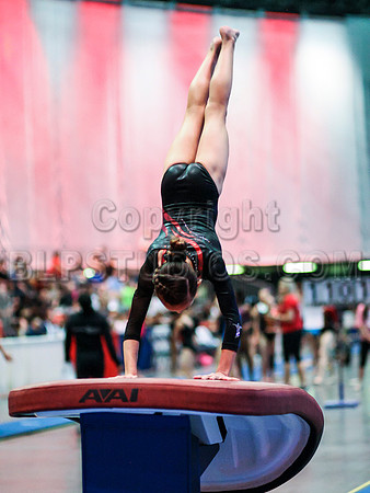 HSM_0291