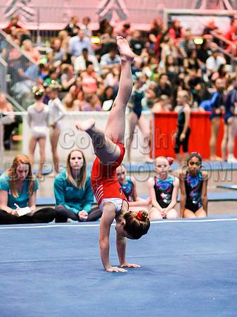 HSM_2198