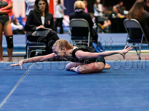 HSM_1033