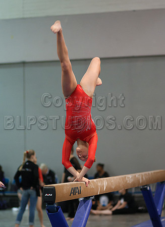 HSM_4382