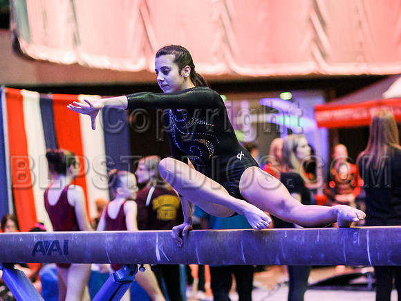 HSM_0022