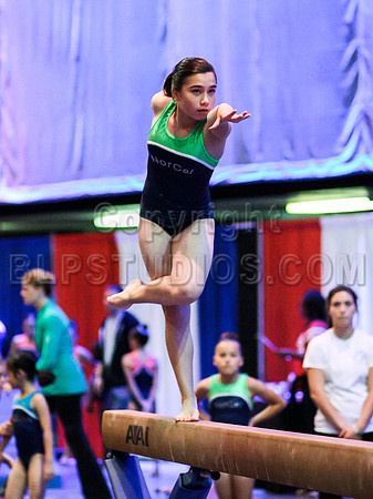 HSM_1703