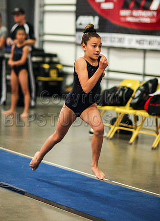 HSM_0210