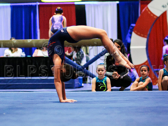 HSM_5193