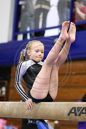 TAZ25281
