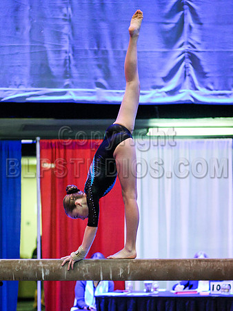 HSM_1461