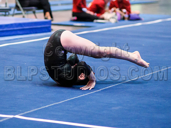 HSM_1191