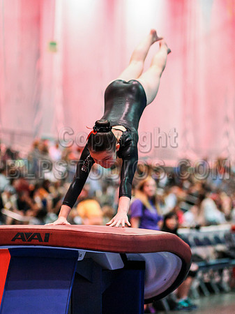 HSM_9843