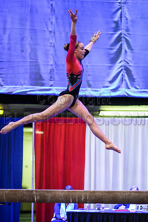 HSM_1432