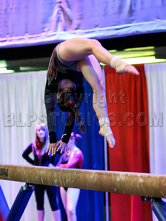 HSM_1412