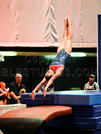 HSM_2199