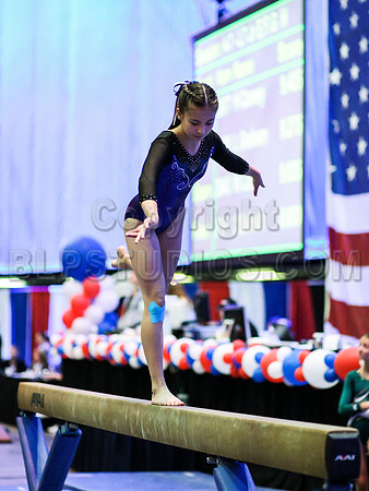 HSM_0243