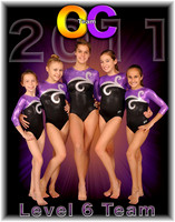 Level 6 Team Portrait
