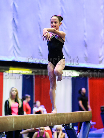 HSM_2433