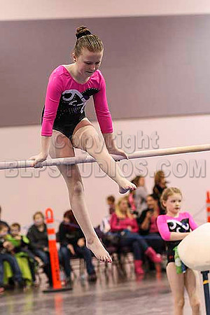 HSM_3954
