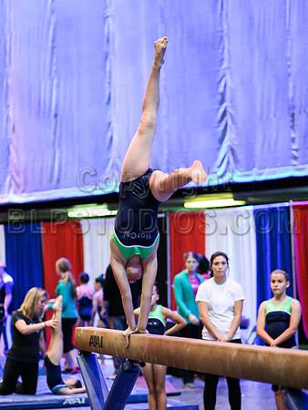 HSM_1695