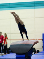 Taylor Wachold
