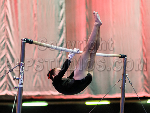 HSM_0117