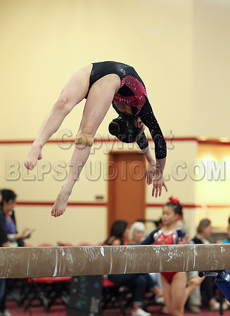 HSM_3624