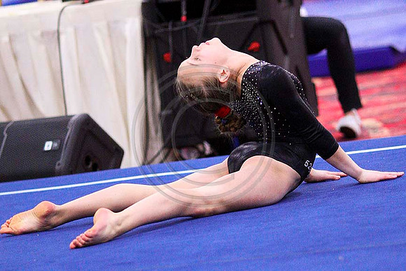 TAZ20137