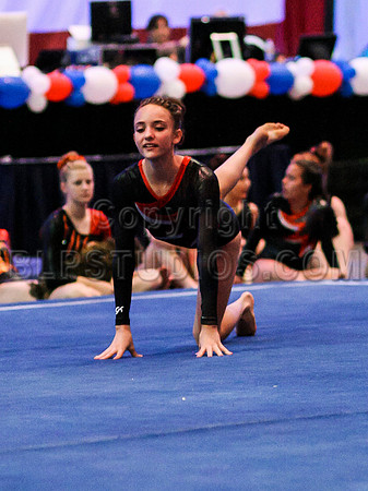 HSM_0022