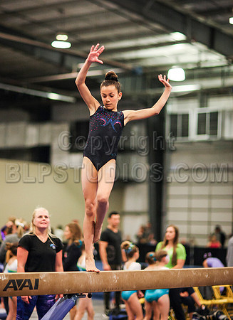 HSM_0981