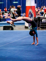 HSM_3398