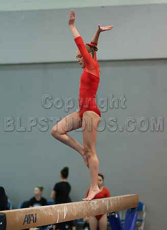 HSM_4390