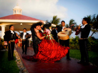 Weddings
