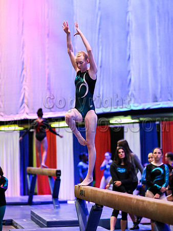 HSM_0675