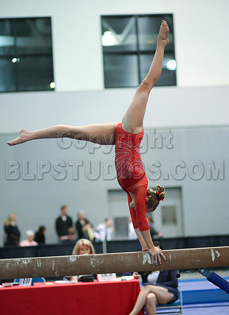 HSM_4602