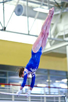 HSM_3530